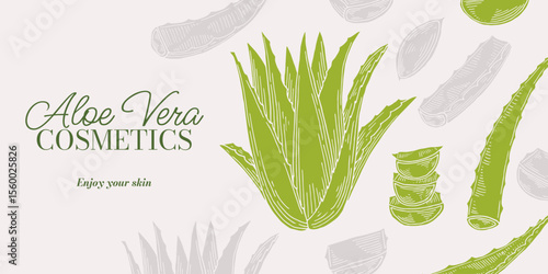 Aloe vera natural cosmetics banner. Plants of Natural ingredient background. Hand drawn ink sketch plant from package design. Ecology concept in beauty industry. Eco label design template for branding