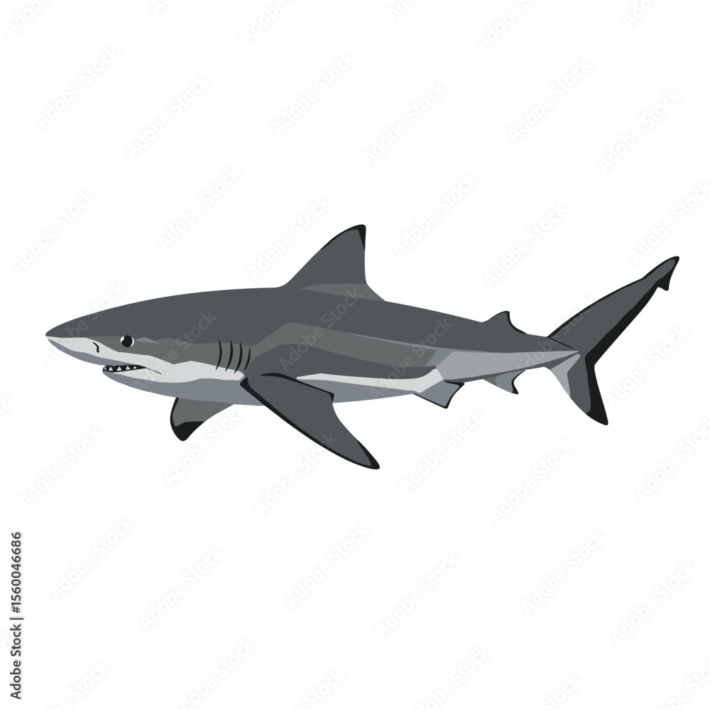Fototapeta premium Blacktip Shark illustrated in modern style with gray tones
