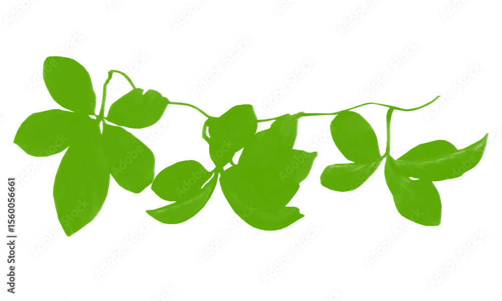 Obraz premium Minimalist Botanical Leaves Cluster for Natural Organic Design Elements