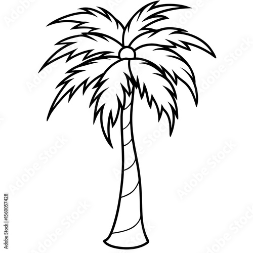 palm tree vector