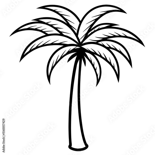 palm tree silhouette