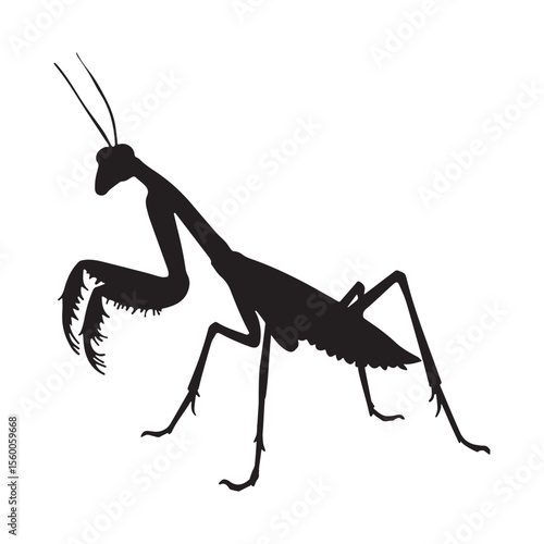 Praying Mantis Silhouette: Elegant, Dramatic, Black Ink Vector Illustration