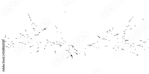 Black and white spider web with a grunge ink splatter design and subtle dust texture