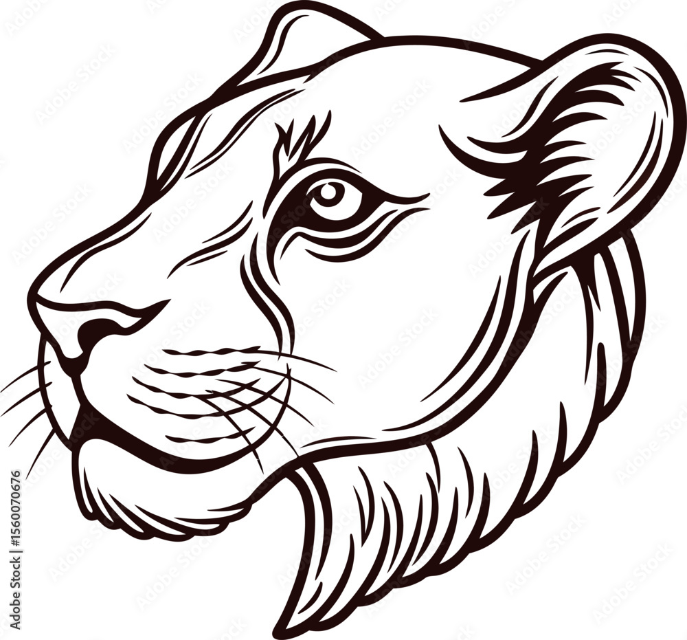 Fototapeta premium Hand drawn lioness head illustration in vintage tattoo with bold lines and detailed facial features