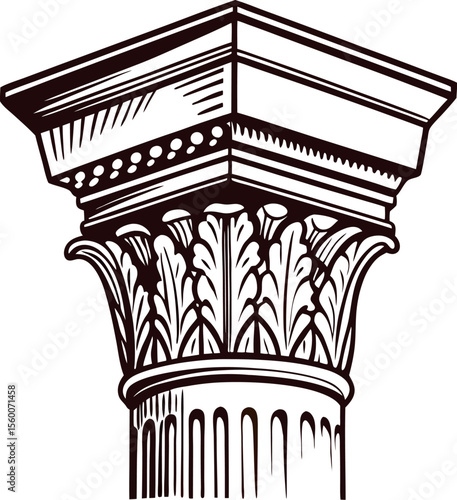Hand drawn illustration of a classical corinthian column capital with acanthus leaf details