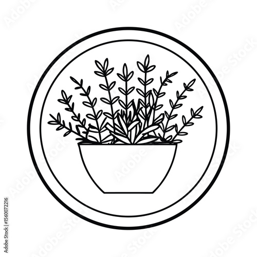 Herb filled circular planter arranged in organized sections Vector illustration
