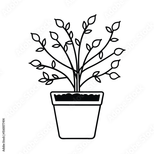 Labeled pot showing grafted plant with rootstock and stem Vector illustration