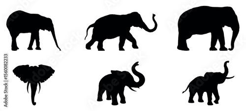 Set of vector ,elephants black silhouettes isolated on a white background, Set of different type Elephant running silhouette vector illustration isolated on white background Vector illustration