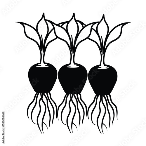Soil texture visible on grouped root vegetables in line Vector illustration