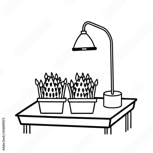 Indoor microgreen layout with light and growing tray Vector illustration