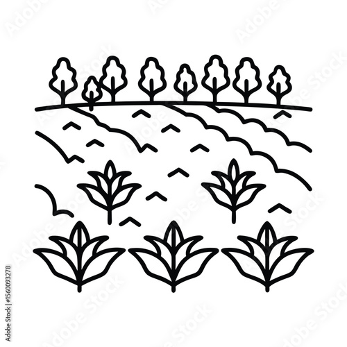 Neat vegetable patch with rows and handwritten labels Vector illustration