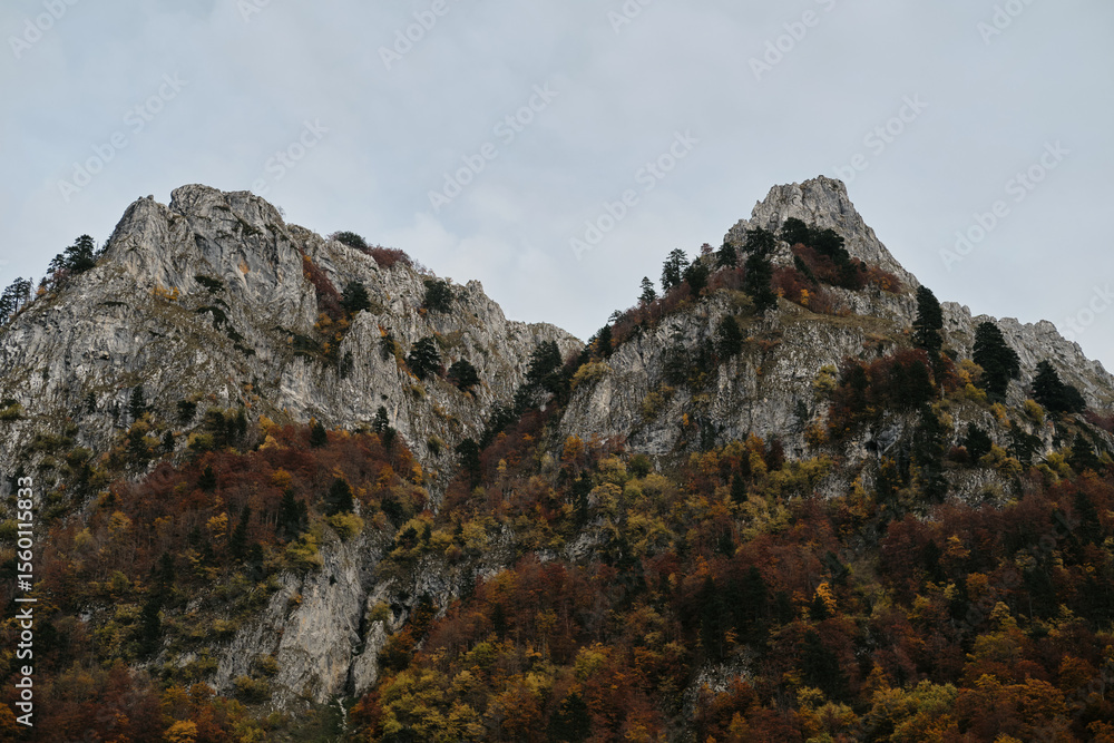 Fototapeta premium Steep rugged mountain slopes with colorful autumn trees in Prokletije National Park, Montenegro. After sunset.