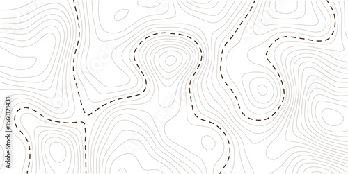 Abstract topographic contours map background. White wave paper curved reliefs abstract background. Vector geographic contour map, Topography map background. 