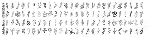 Floral and botanical leaf collection, hand drawn plant and branch vector set, vintage decorative elements, wedding wreath and nature doodle illustration on transparent background