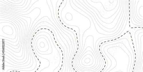 Abstract topographic contours map background. White wave paper curved reliefs abstract background. Vector geographic contour map, Topography map background. 