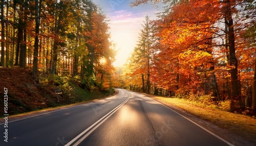autumn scenic drive forested road landscape photography fall foliage serene environment nature s beauty