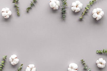 Flowers border with green eucalyptus branches and dry cotton flowers on grey background top view copy space