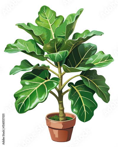 vector of a fiddle leaf fig plant with broad, veined green leaves and woody stem, isolated on white background
