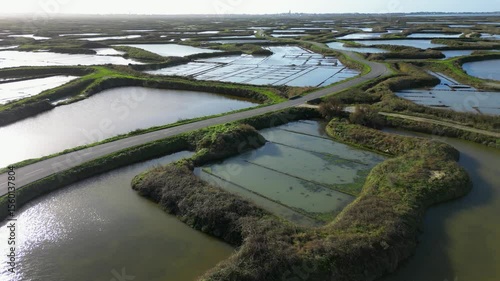 Wallpaper Mural Two cars driving on a narrow road between the salt marshes, Guerande, France, 4k Torontodigital.ca