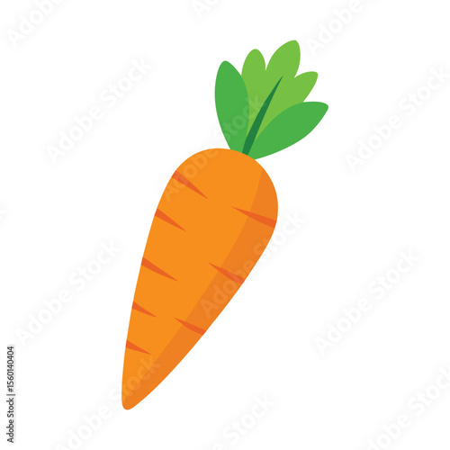Carrot on white background
