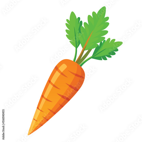 Carrot on white background