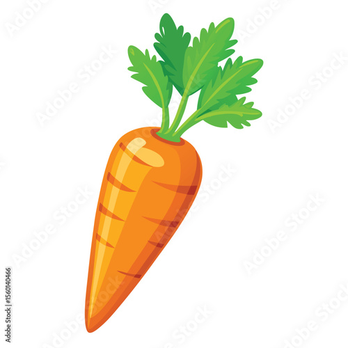Carrot on white background