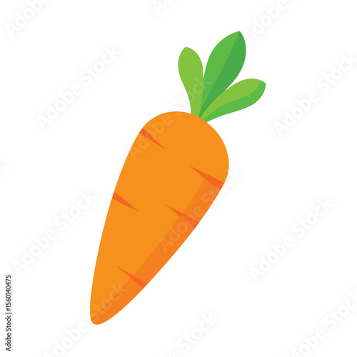 Carrot on white background