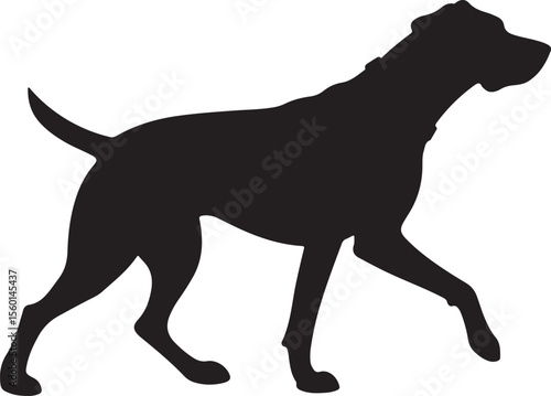 Dog Walker Silhouette on White Background
