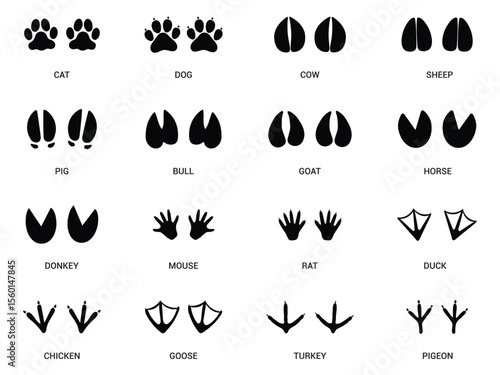 Set of Footprints of Farm Animals