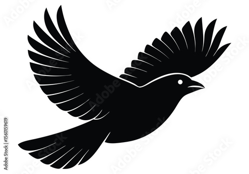 bird  flying  perched   silhouette on white background