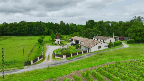Wallpaper Mural Vineyards and grape fields around Bordeaux from a drone, Saint-Mariens, Gironde, Nouvelle-Aquitaine, France, Europe Torontodigital.ca