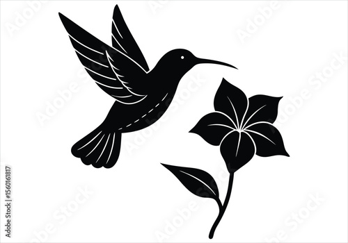 Hummingbird Near Flower	silhouette on white background