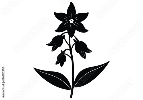 Larkspur	 flower silhouette on white background