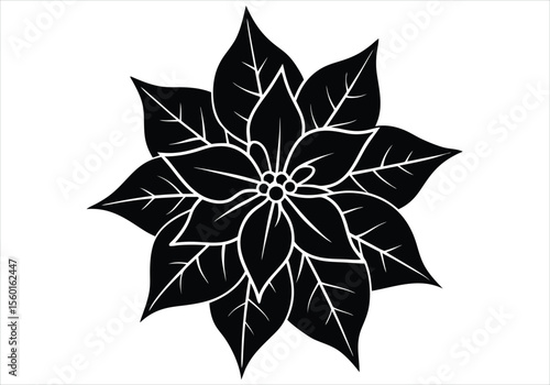 moonlite blossom silhouette on white background