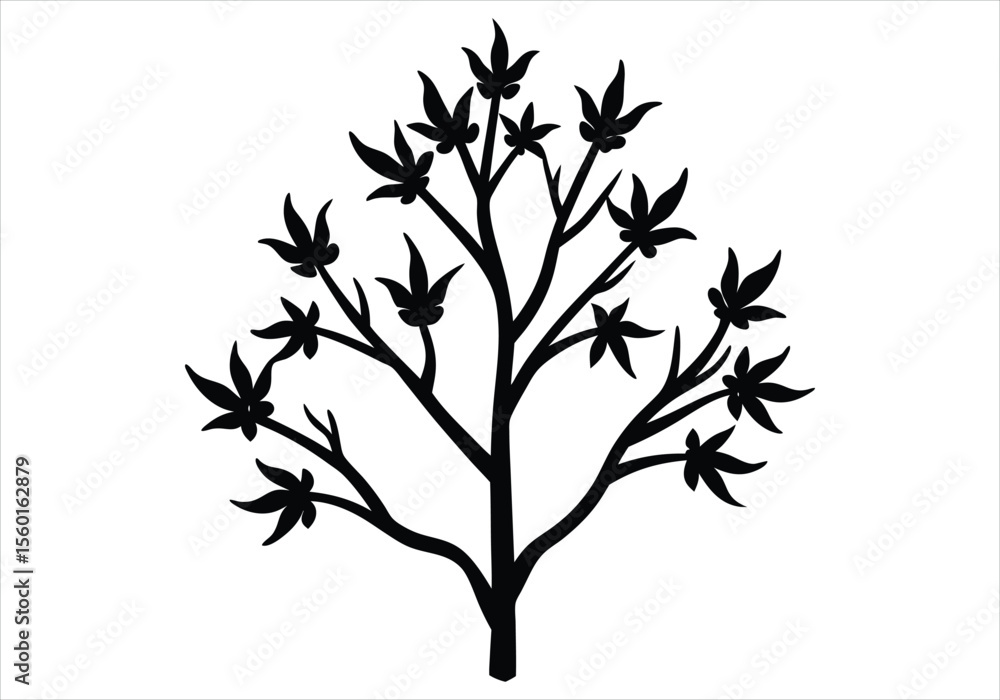 Obraz premium Witch Hazel flower silhouette on white background