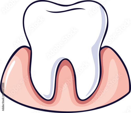 Illustration of a single, healthy white tooth nestled within pink gums, outlined in black.
