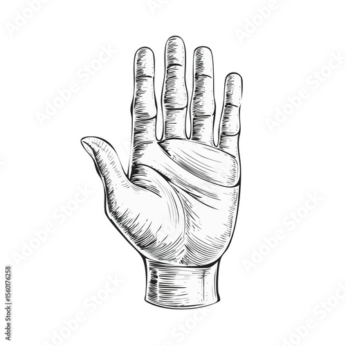 Hand Raised in Stop Gesture Artistic Engraving Style on Black Background Illustration