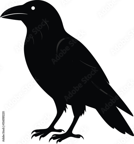 Birds Silhouette Isolated In White Background Bird Icon Bird