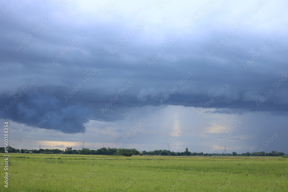 Dramatic storm clouds gather over a green rice field under moody sky before heavy rain, showcasing rural landscape and severe weather in countryside. Dramatic storm clouds gather over a green rice field under moody sky before heavy rain, showcasing rural landscape and severe weather in countryside.