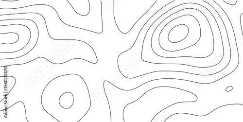 White wave paper curved reliefs abstract background, Topography map background. Vector geographic contour map. Abstract topographic contours map background