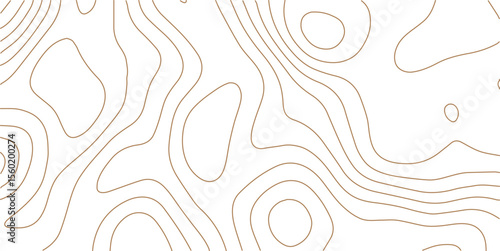 White wave paper curved reliefs abstract background, Topography map background. Vector geographic contour map. Abstract topographic contours map background