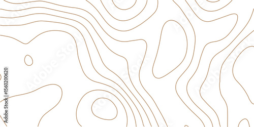 White wave paper curved reliefs abstract background, Topography map background. Vector geographic contour map. Abstract topographic contours map background