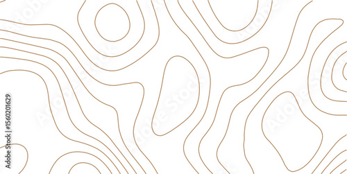 White wave paper curved reliefs abstract background, Topography map background. Vector geographic contour map. Abstract topographic contours map background