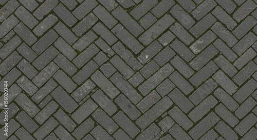 Grey herringbone brick pavement with moss