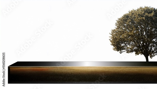 clean lower third graphic overlay