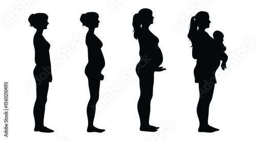 Woman's Pregnancy Journey Silhouette Progression