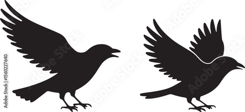 bird, sparrow, robin, eagle, hawk, pigeon, dove, flamingo, parrot, peacock, canary, stork, crow, raven, finch,