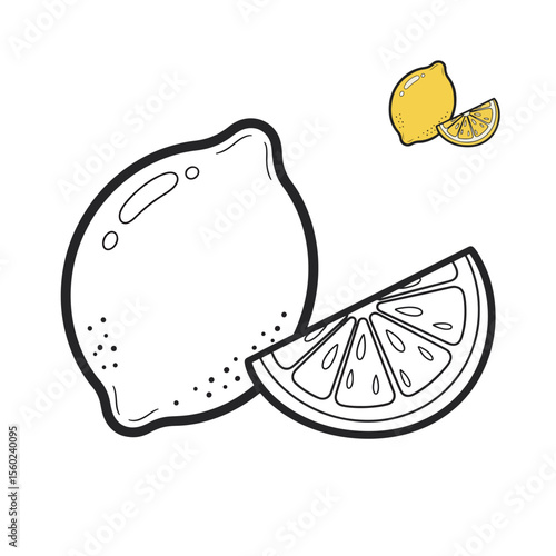 Lemon Coloring Page Whole Lemon and Slice Illustration