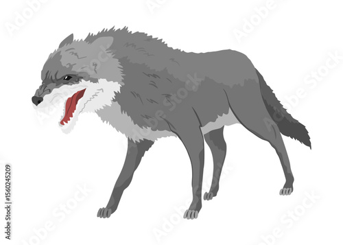Gray wolf. A predatory beast. Wild forest animal. Vector hand drawn vintage old sketch for stamp, t-shirt or typography or badge