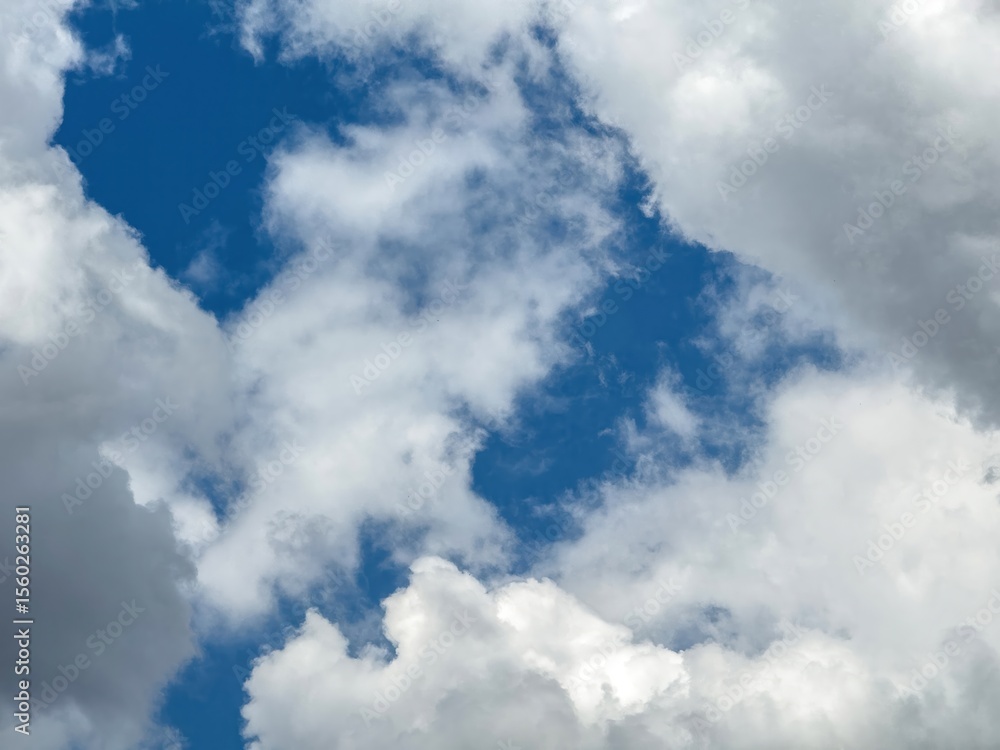 Obraz premium Blue sky with clouds background, sunny day. White and grey fluffy cloudscape